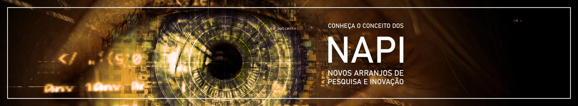 NAPIS