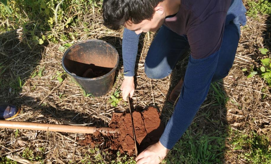 Rotação de Culturas em Sistema Plantio Direto