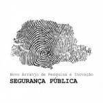 napi segurança pública