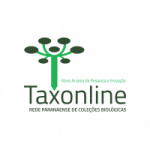 napi taxonline