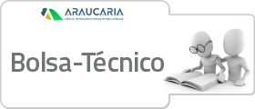 bolsa tecnico