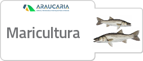 maricultura