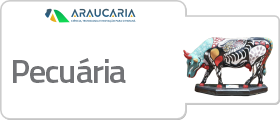 pecuária