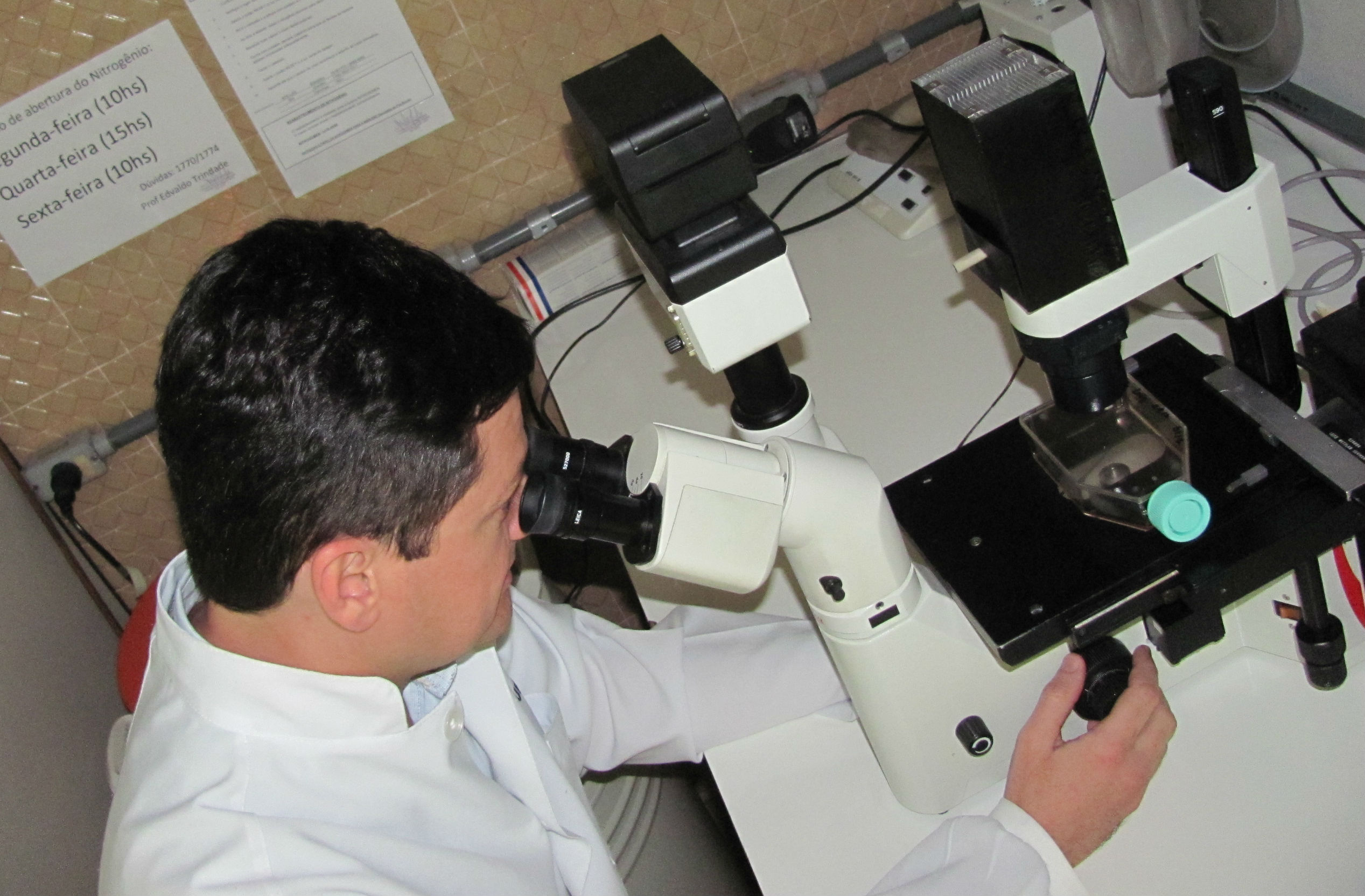 Luis Eduardo Rizzo, bolsista do Programa de Pós-Doutorado em Empresas.