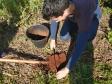 Rotação de Culturas em Sistema Plantio Direto 