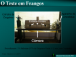 Projeto