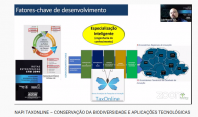 Seminário Taxonline