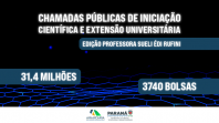Bolsas iniciação