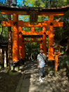Bosista Kyoto