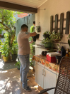 PPSUS Aedes