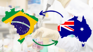 Intercãmbio