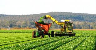 Agro