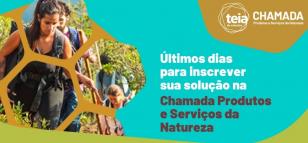 teia