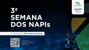 Semana NAPIs