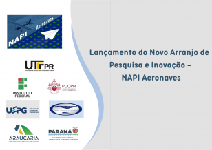 NAPI Aeronaves