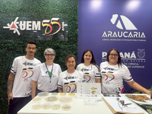 Napis Expoingá