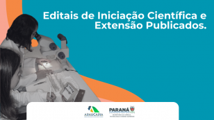 Iniciação Científica