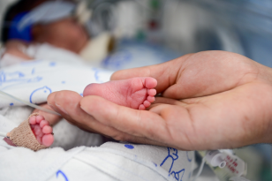 Sequenciamento Genético