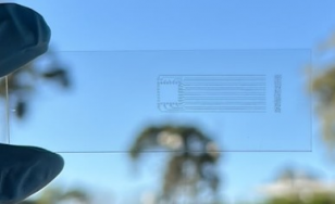 Eletrônica Orgânica