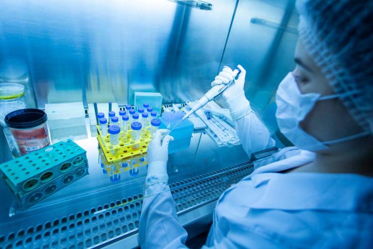 Universidades Estaduais em Ranking Espanhol