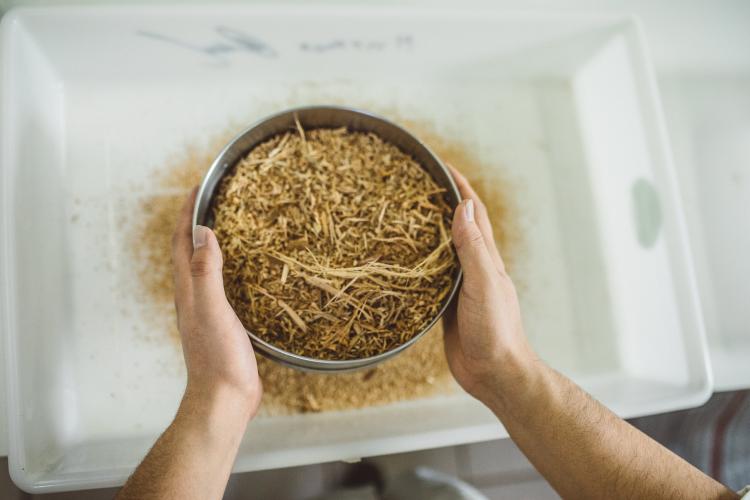 Pesquisa fungo inovação p construção civil