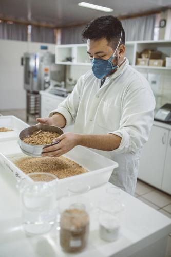 Pesquisa fungo inovação p construção civil