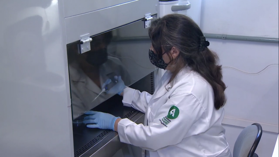 Pesquisadores se mobilizam para criar rede de estudos sobre proteínas alternativas