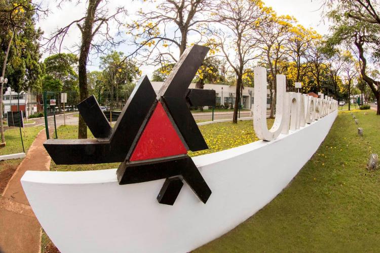 Pesquisadores da UEM desenvolvem programa capaz de identificar novos genes