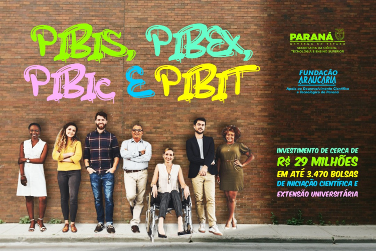 Bolsas PIBIC PIBIS PIBEX