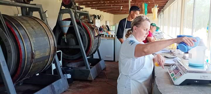 Projeto couro de tainha