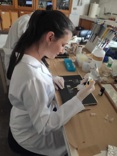 Déficit de bolsas de mestrado e doutorado