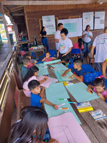 Projeto UEM Amazônia + 10