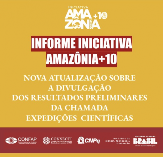 Informe amazõnia +10