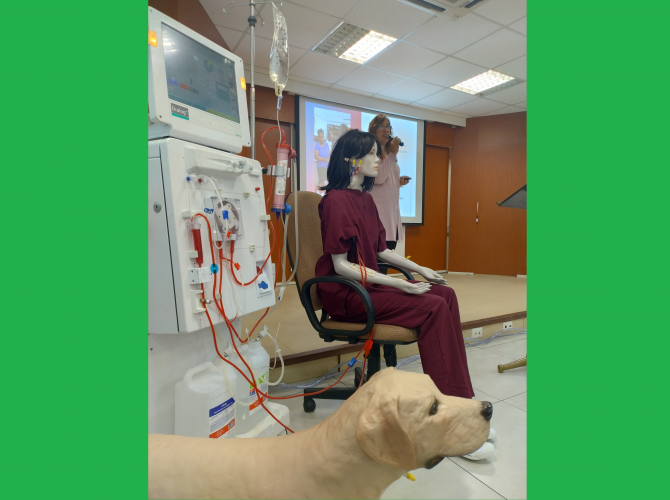 Simuldor de hemodiálise