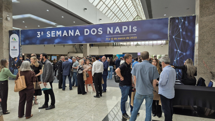 Abertura NAPIs