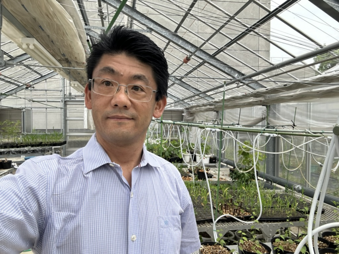 Ganhando o Mundo Japão