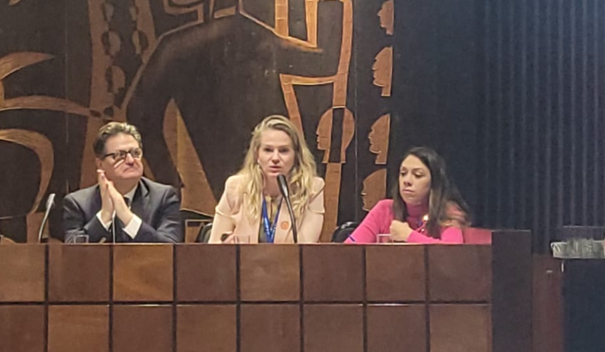 NAPI Segurança ALEP