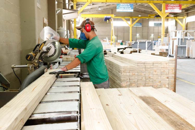 Tecpar Madeira Engenheirada