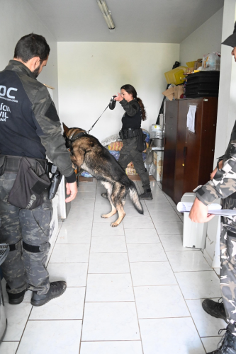 Kits NAPI Segurança