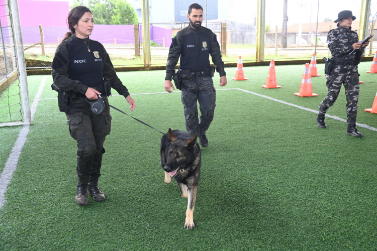 Kits NAPI Segurança