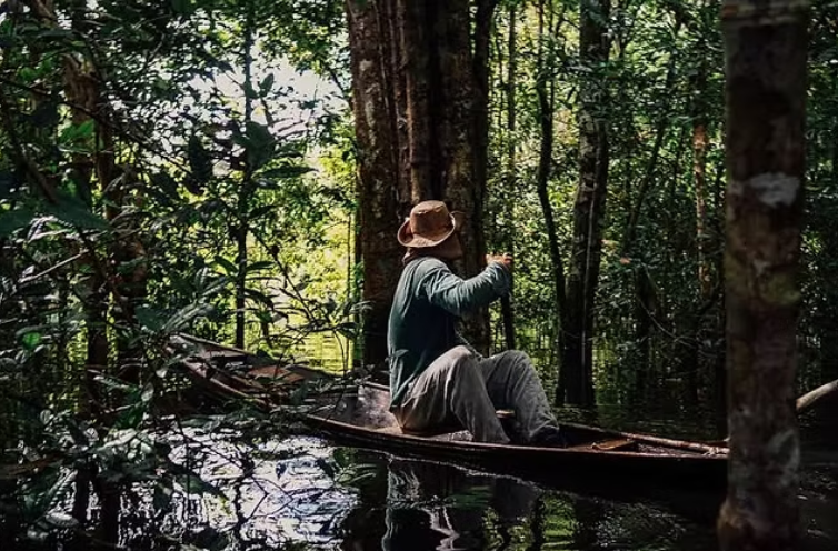 Amazônia +10