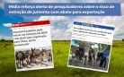 Colágeno jumento