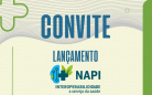 napi