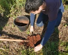 Rotação de Culturas em Sistema Plantio Direto 