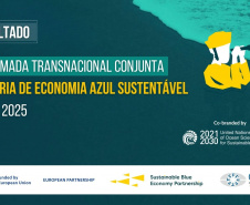 transnacional