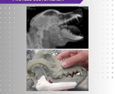 ORTHO