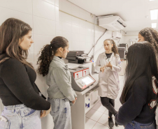 Paranaenses Ensino Superior