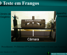 Projeto