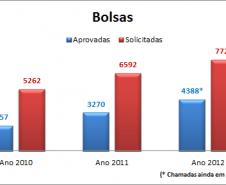 bolsas