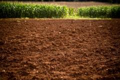 agro